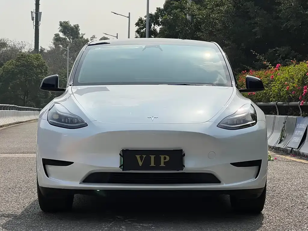 Tesla Model Y 2023 из CN, фото 7
