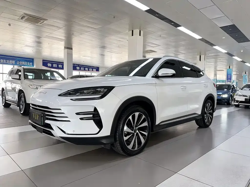 BYD PLUS New Energy 2023 из CN, фото 1