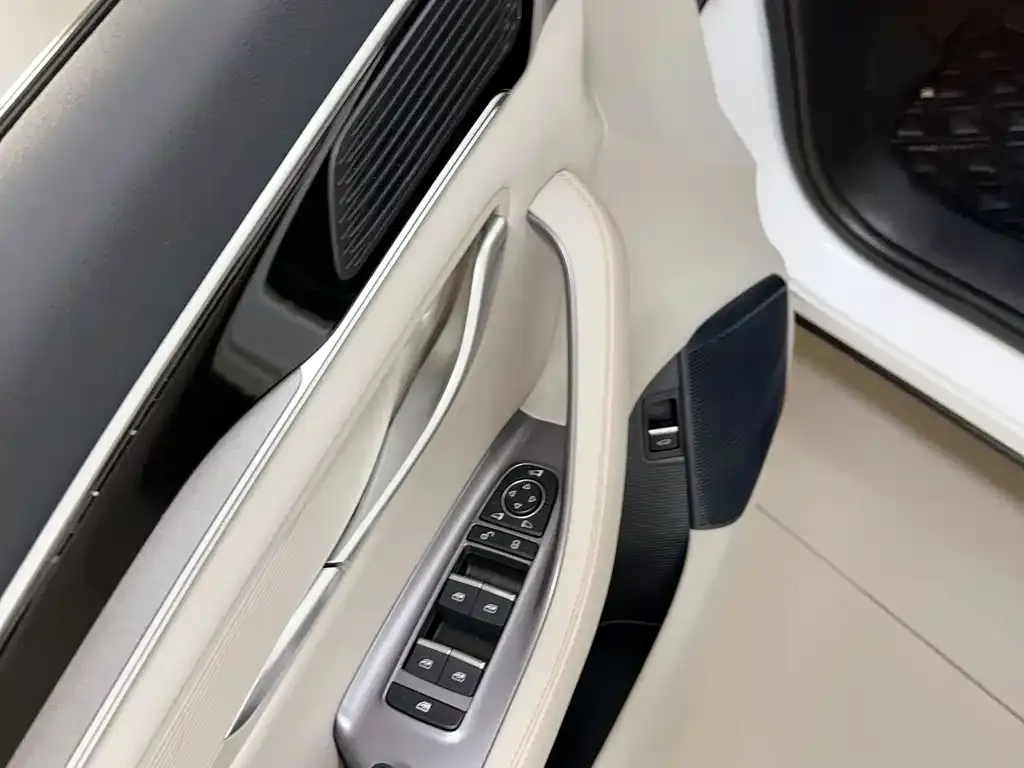 BYD PLUS New Energy 2023 из CN, фото 7