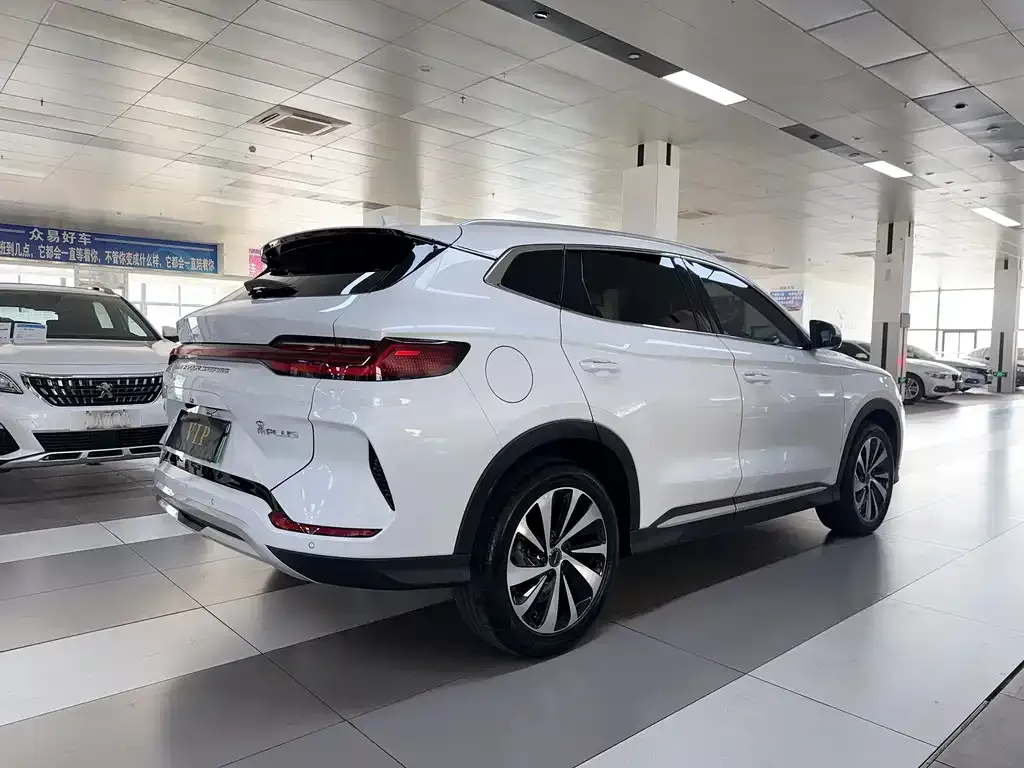 BYD PLUS New Energy 2023 из CN, фото 10