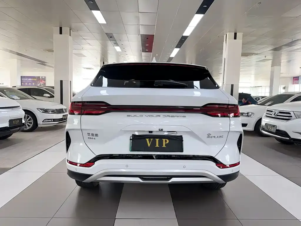 BYD PLUS New Energy 2023 из CN, фото 5