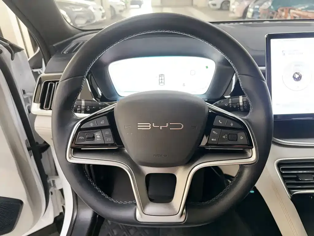 BYD PLUS New Energy 2023 из CN, фото 4