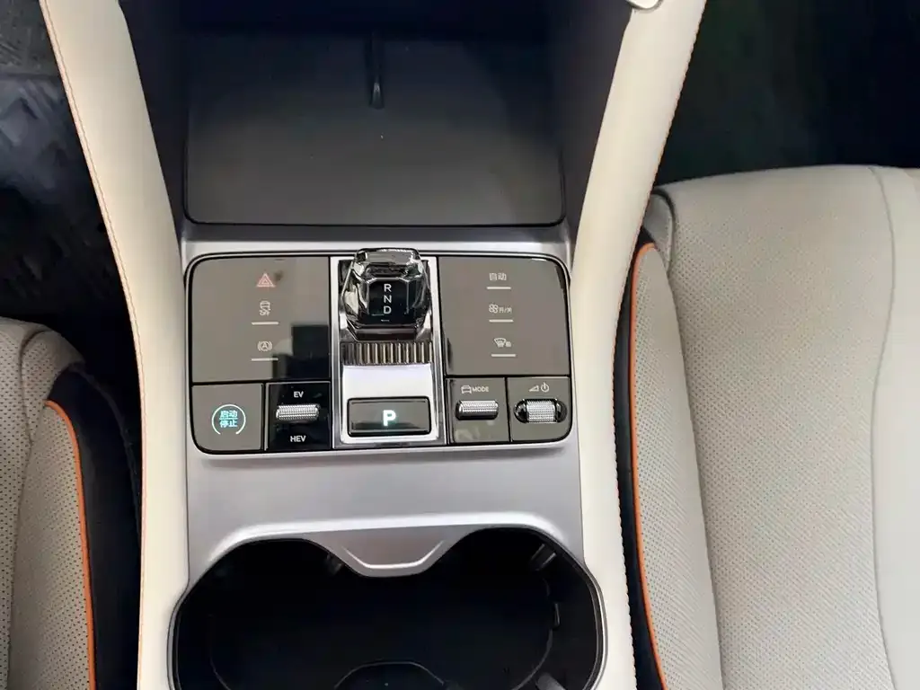 BYD PLUS New Energy 2023 из CN, фото 8