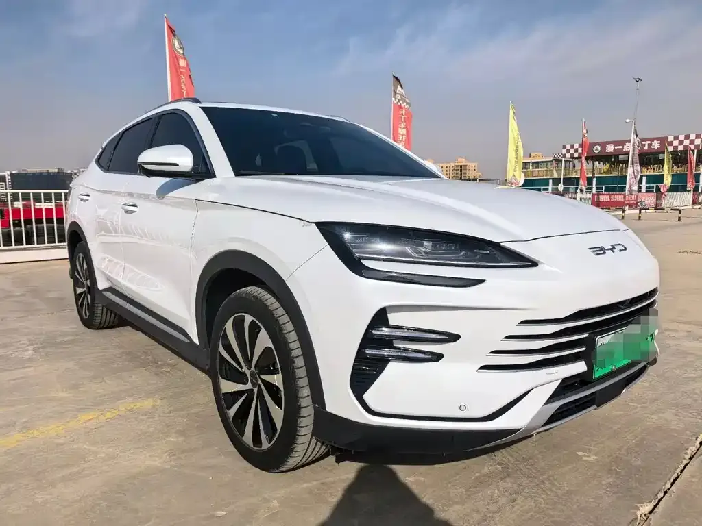 BYD PLUS New Energy — фото 5