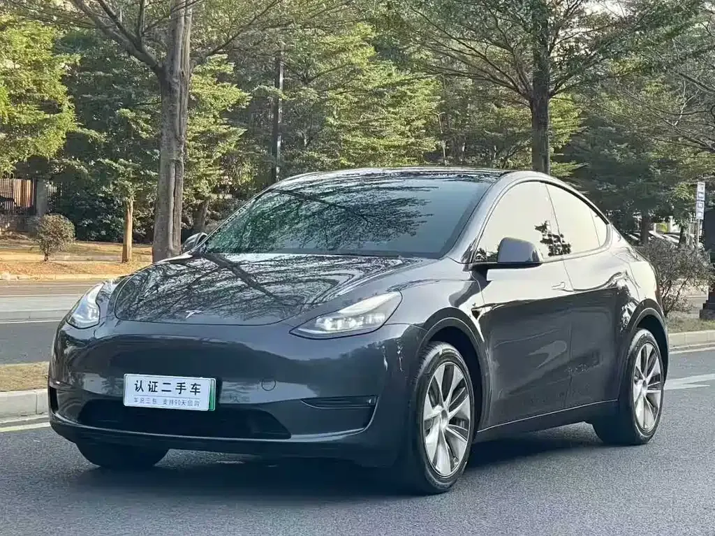 Tesla Model Y — фото 1