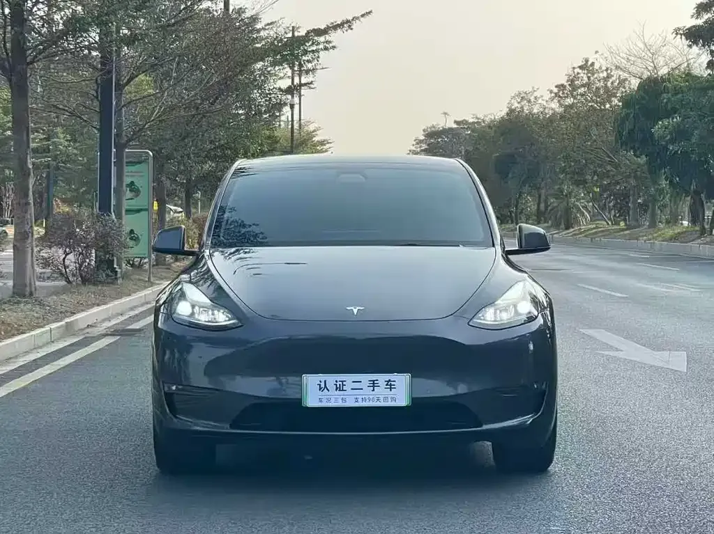 Tesla Model Y — фото 4