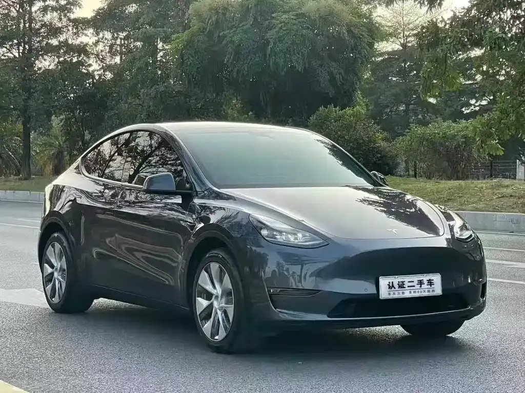 Tesla Model Y — фото 9