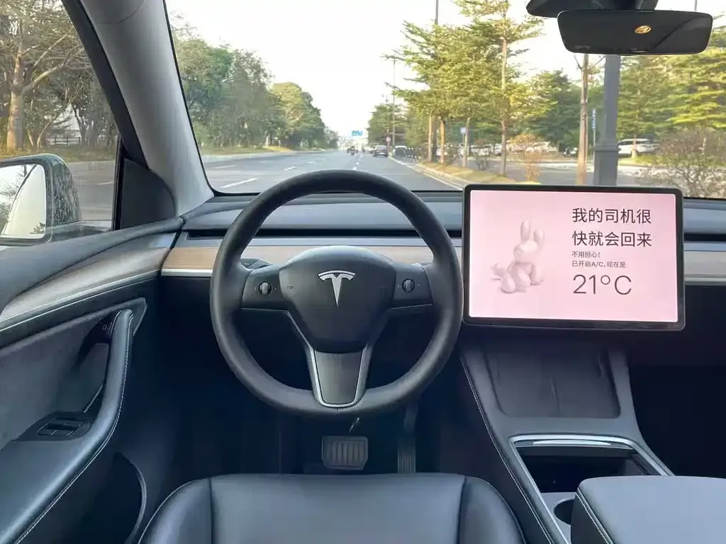 Tesla Model Y — фото 7