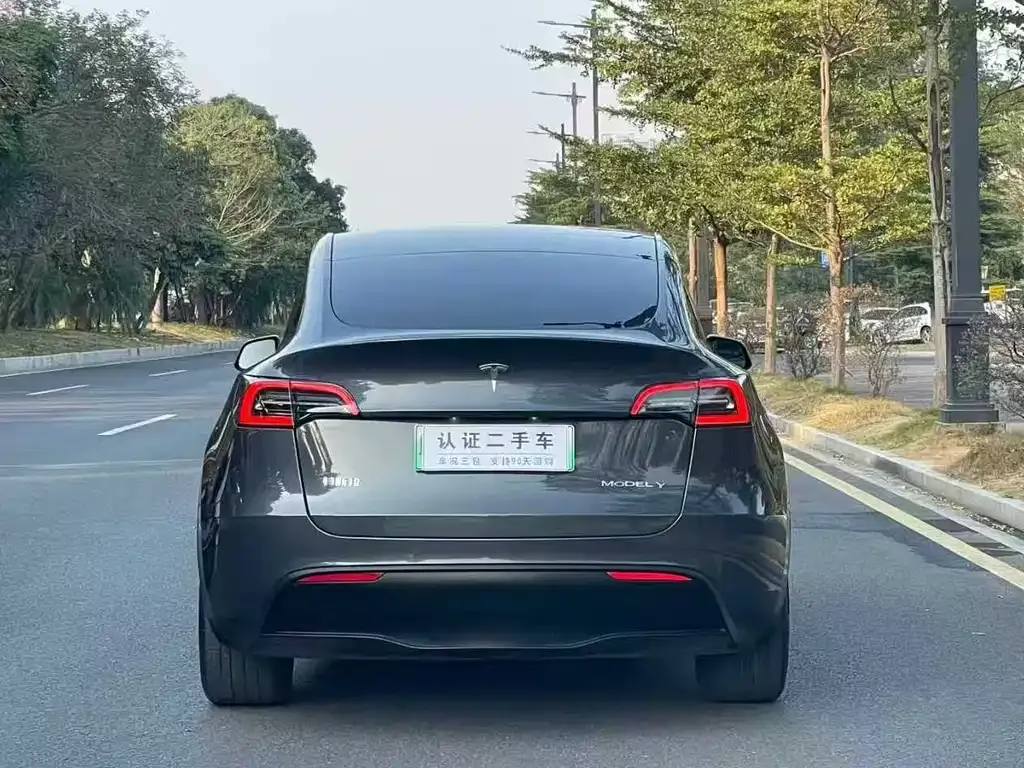 Tesla Model Y — фото 10
