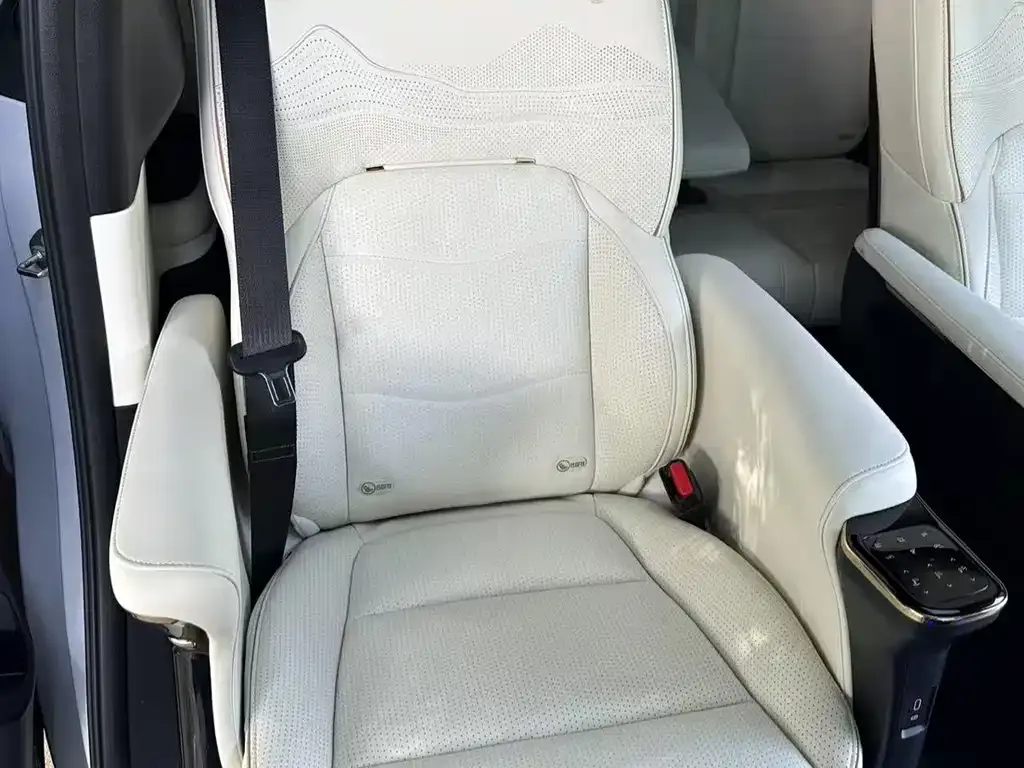 GAC Motor Trumpchi M8 2022 из CN, фото 10