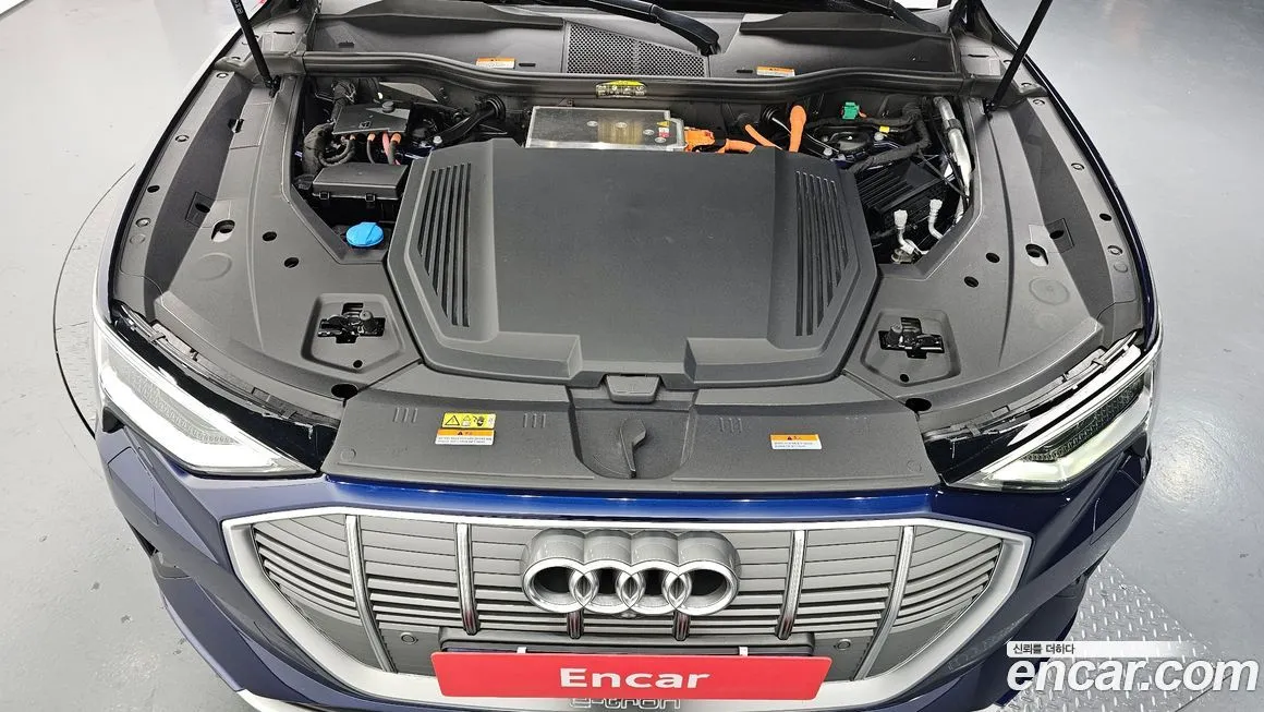 Audi e-tron 2021 из KR, фото 5
