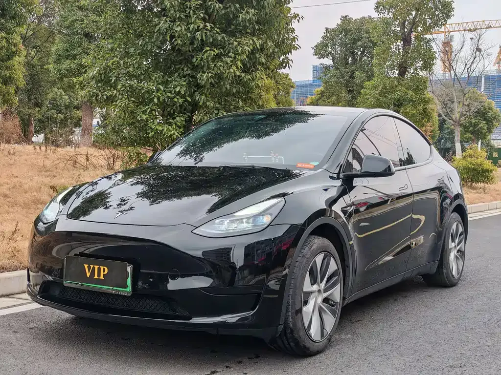 Tesla Model Y — фото 1