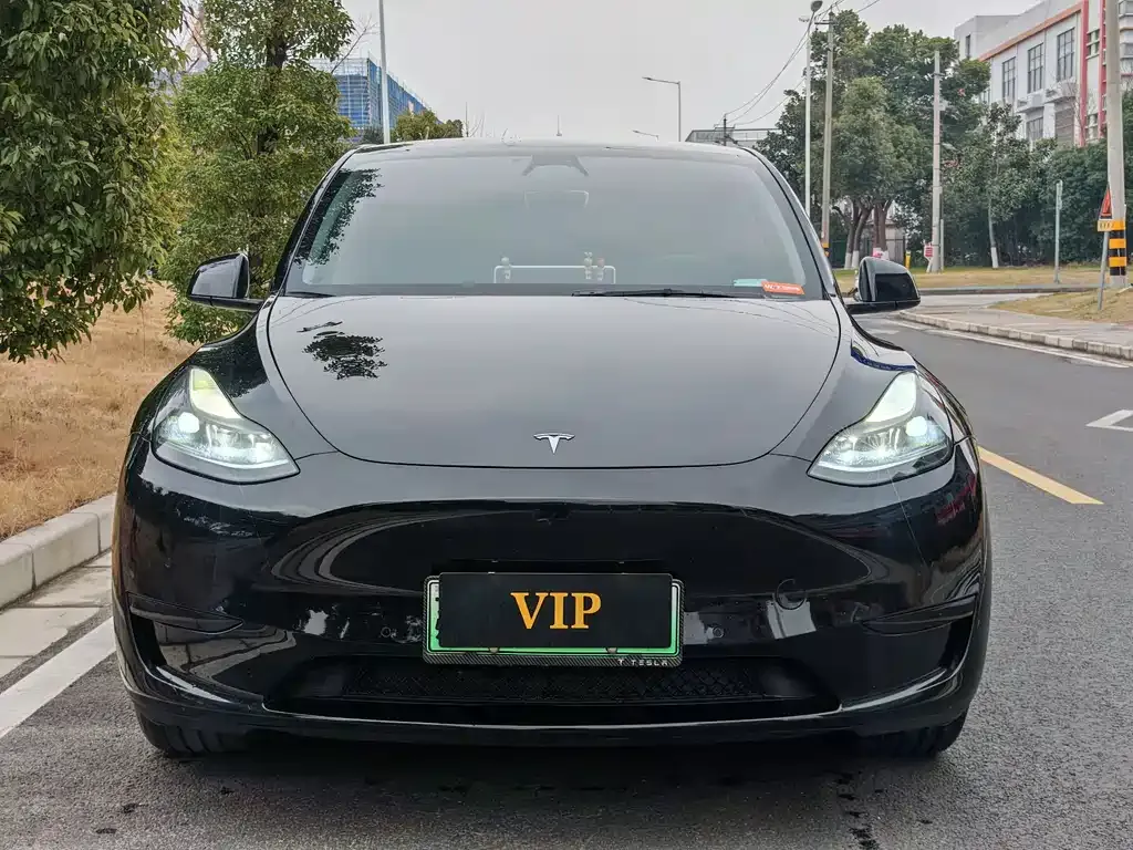 Tesla Model Y — фото 6