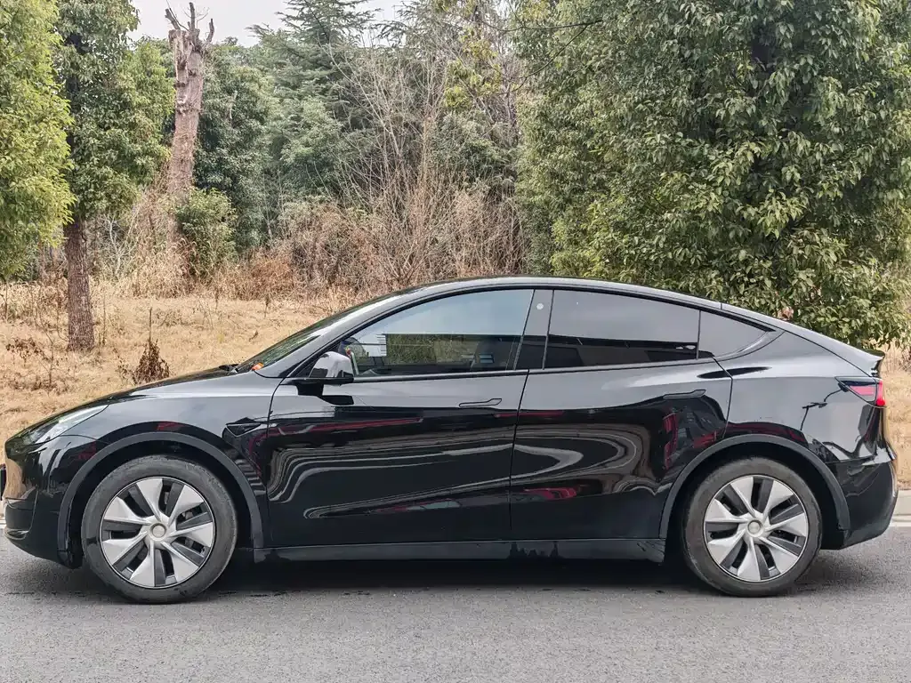 Tesla Model Y — фото 5
