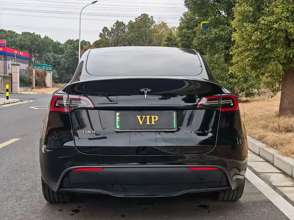 Tesla Model Y — фото 7