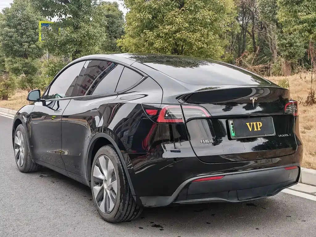 Tesla Model Y — фото 8