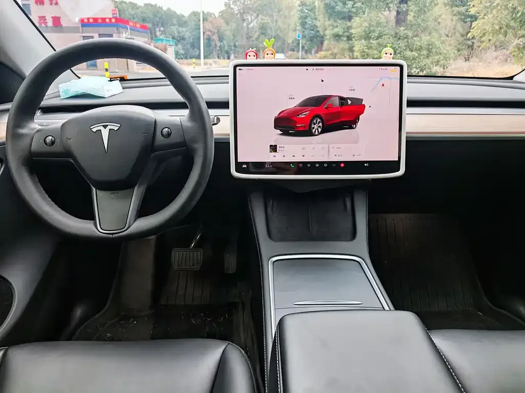 Tesla Model Y — фото 10