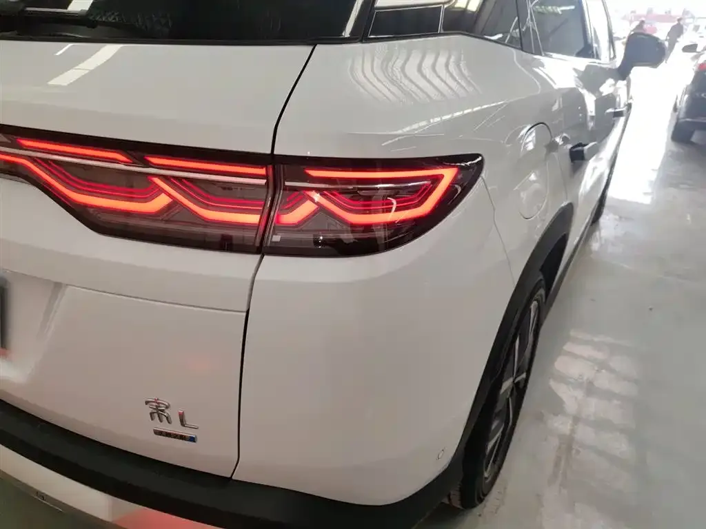 BYD L DM-i — фото 2