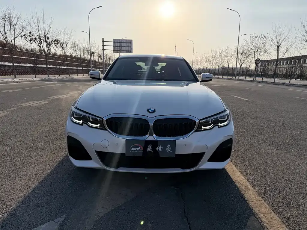 BMW 3 Series 2021 из CN, фото 3