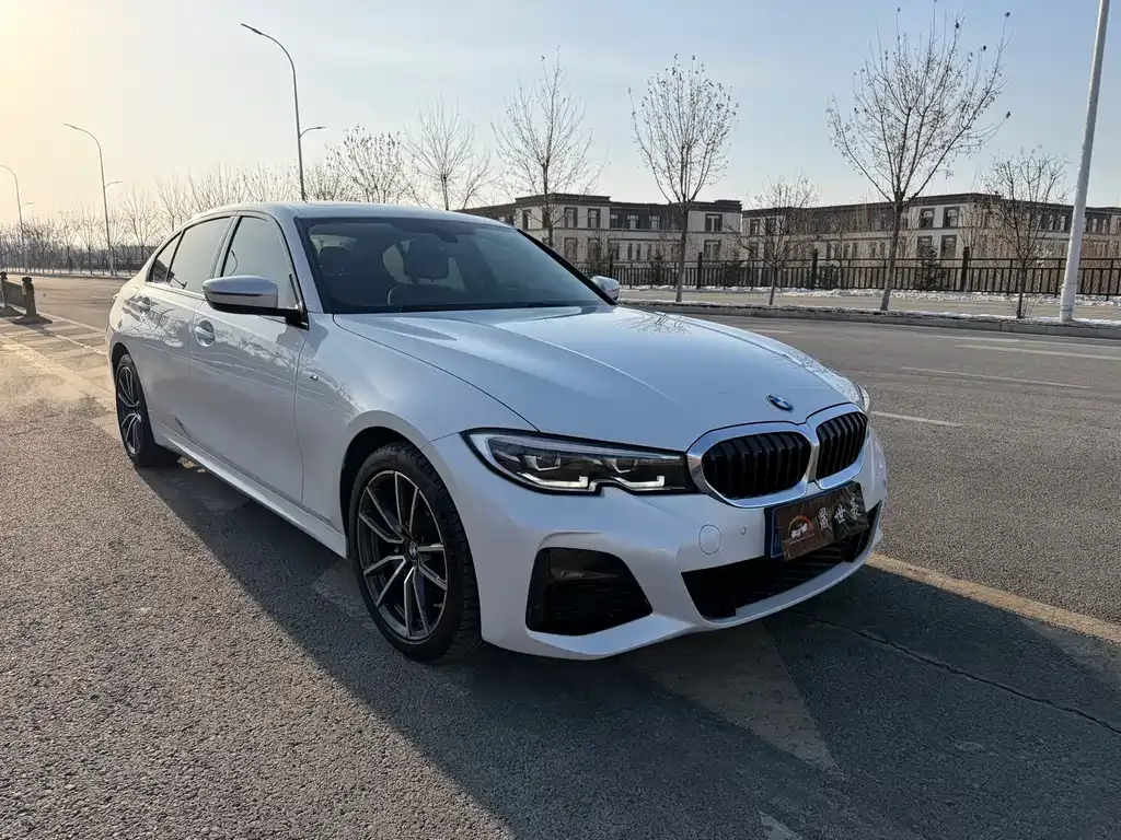 BMW 3 Series 2021 из CN, фото 6