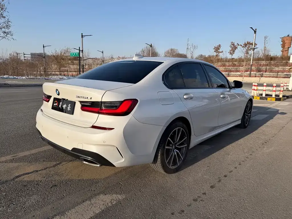BMW 3 Series 2021 из CN, фото 4