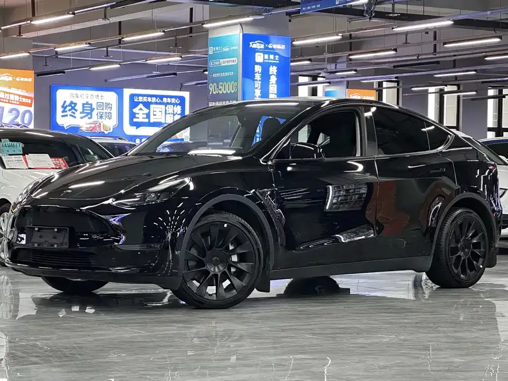 Tesla Model Y — фото 1