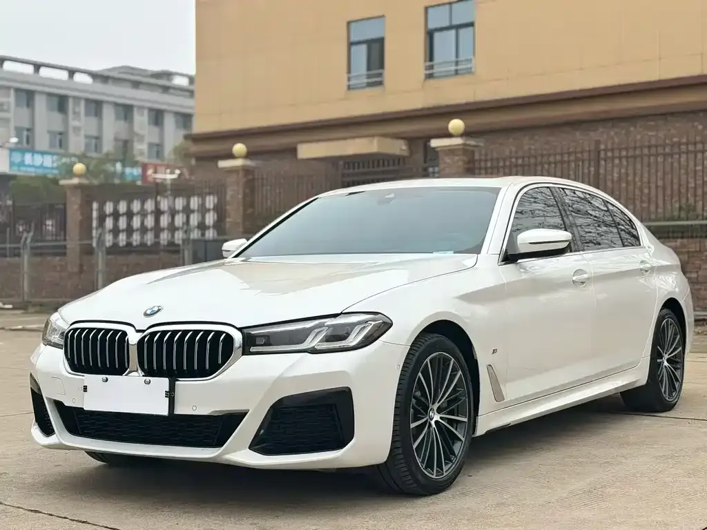 BMW 5 Series 2023 из CN, фото 1