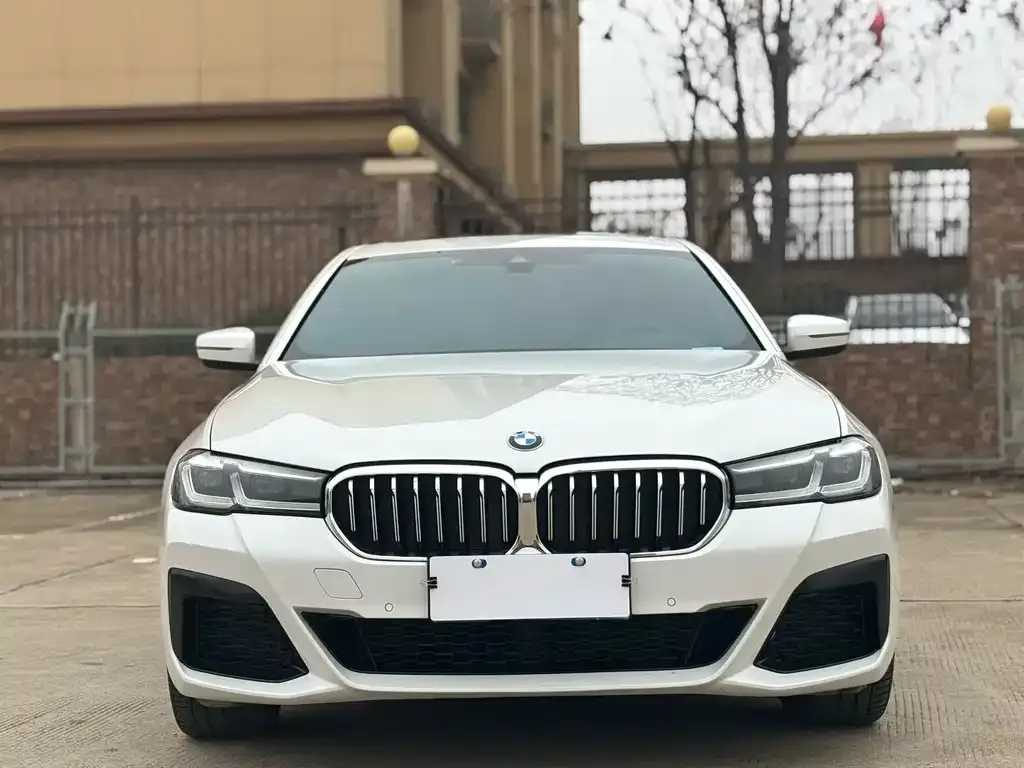 BMW 5 Series 2023 из CN, фото 5