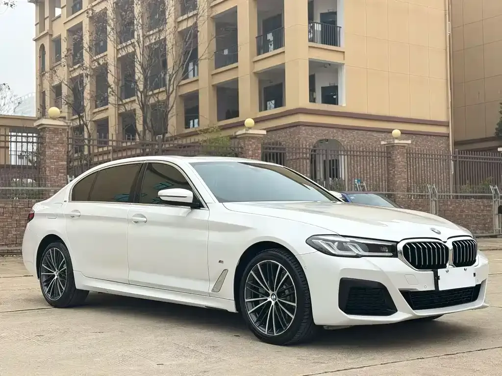 BMW 5 Series 2023 из CN, фото 9