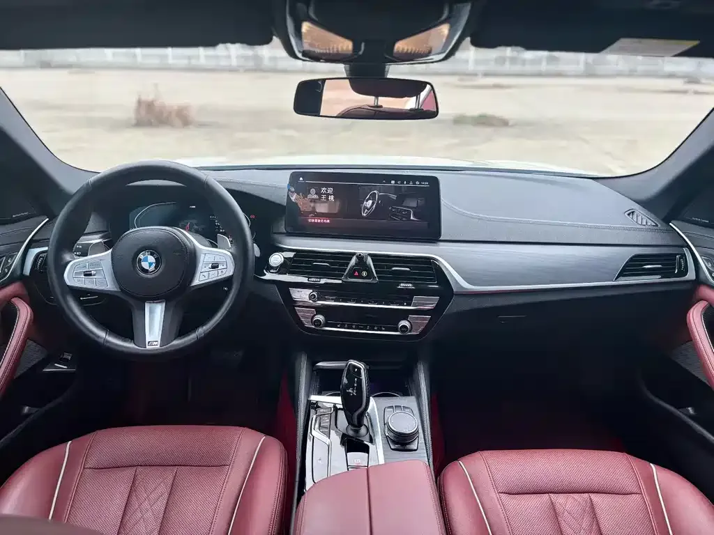 BMW 5 Series 2023 из CN, фото 8