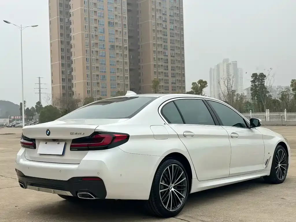 BMW 5 Series 2023 из CN, фото 6