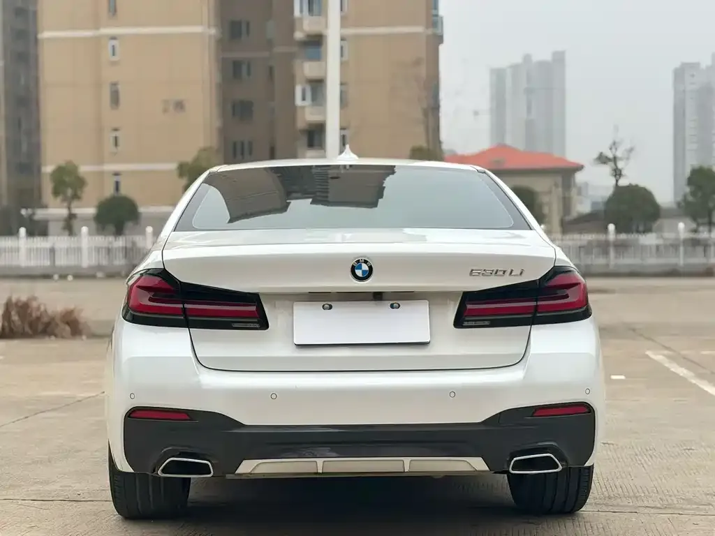 BMW 5 Series 2023 из CN, фото 3
