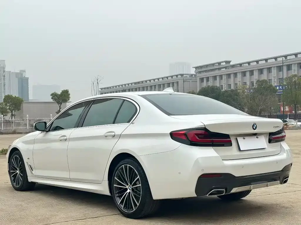 BMW 5 Series 2023 из CN, фото 7