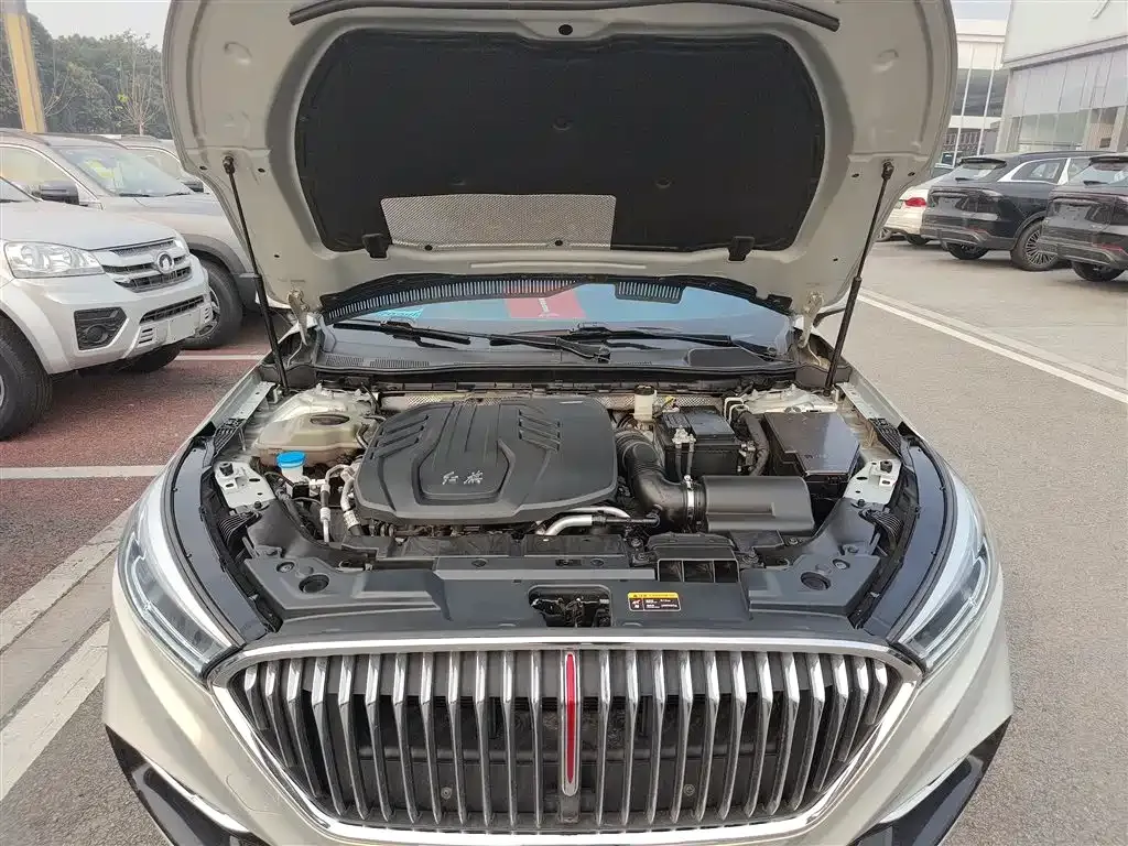 Hongqi H5 2023 из CN, фото 5