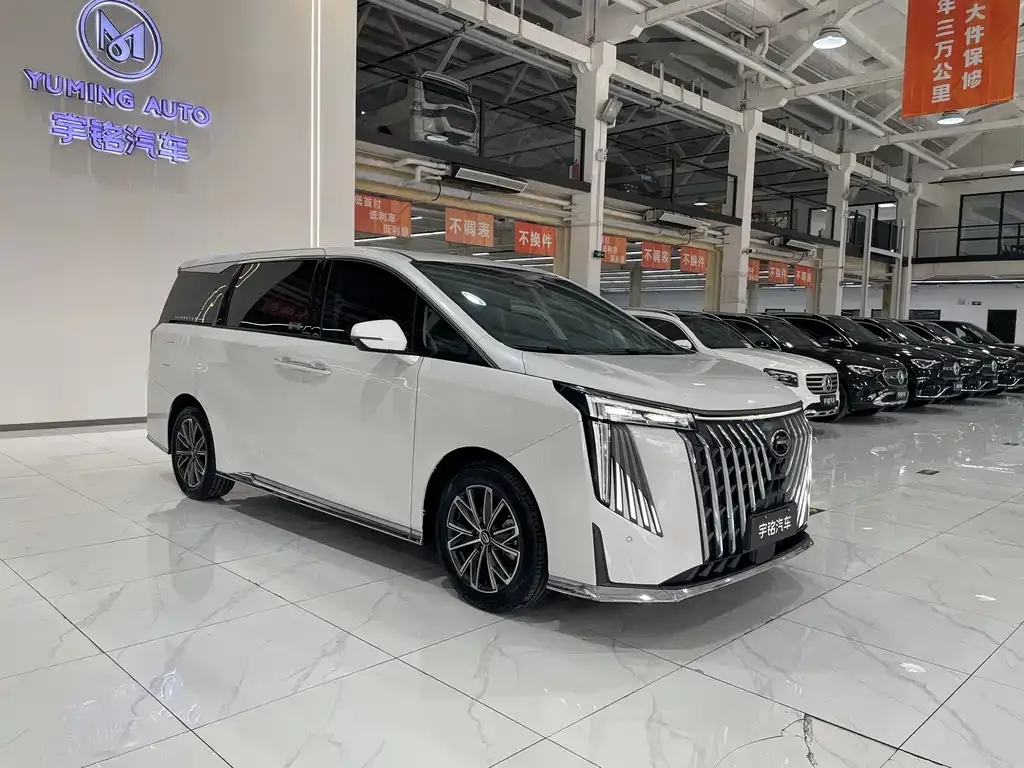 GAC Motor Trumpchi M8 2024 из CN, фото 9
