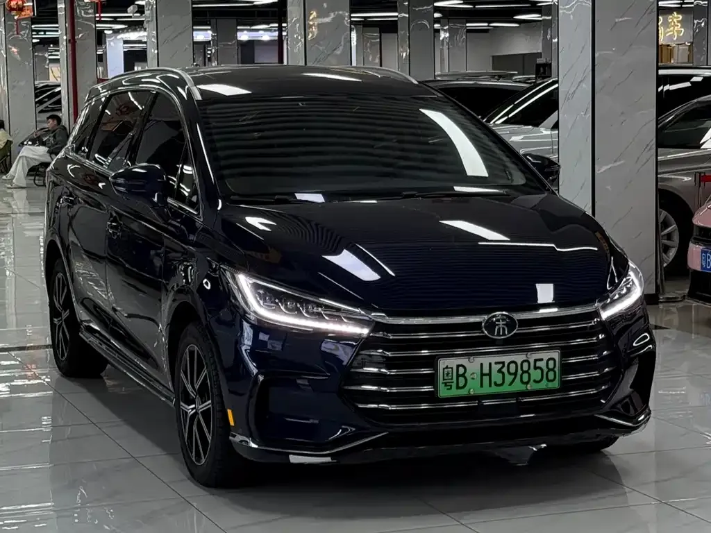 BYD MAX New Energy 2023 из CN, фото 3