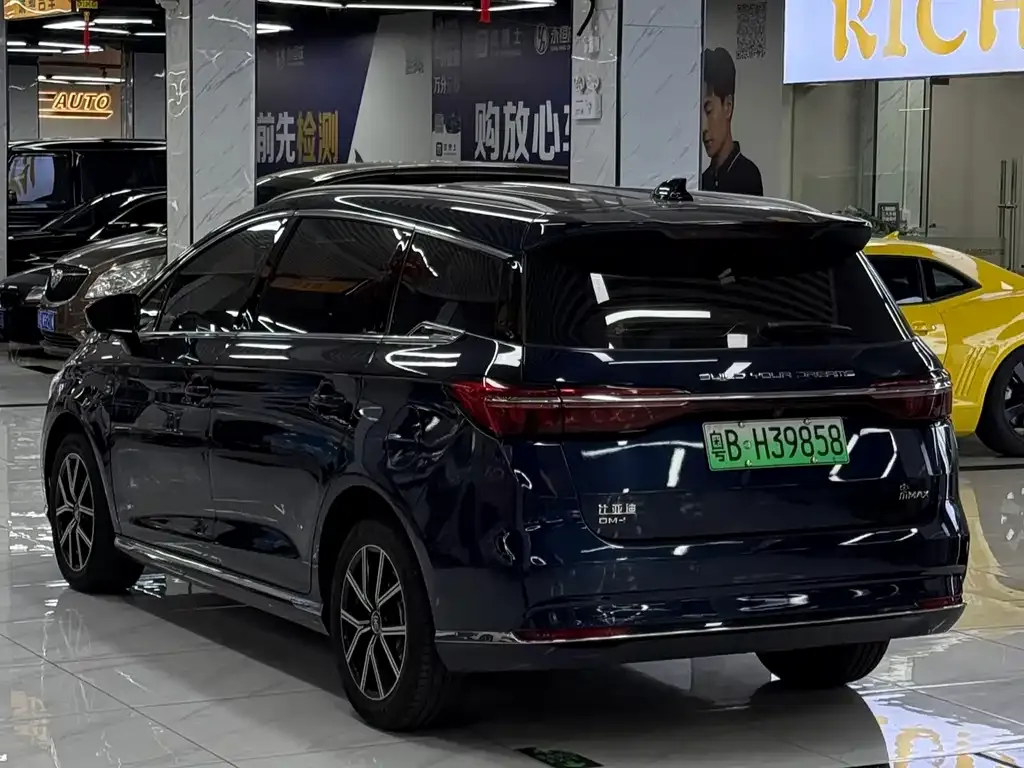 BYD MAX New Energy 2023 из CN, фото 7