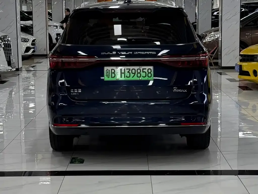 BYD MAX New Energy 2023 из CN, фото 5
