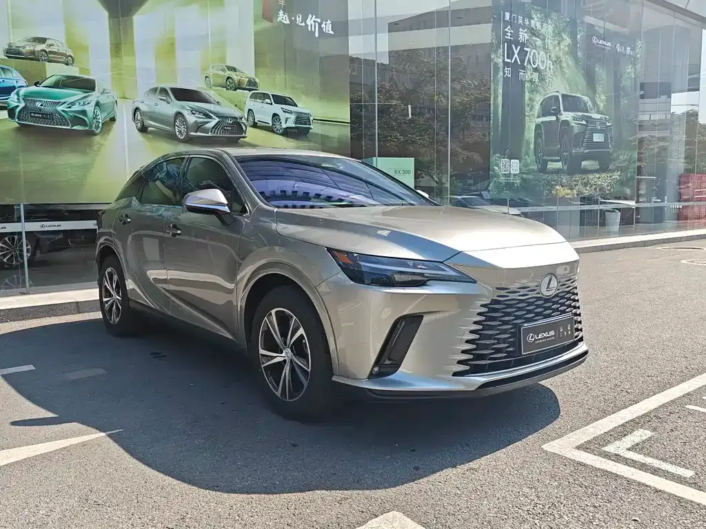 Lexus RX — фото 10