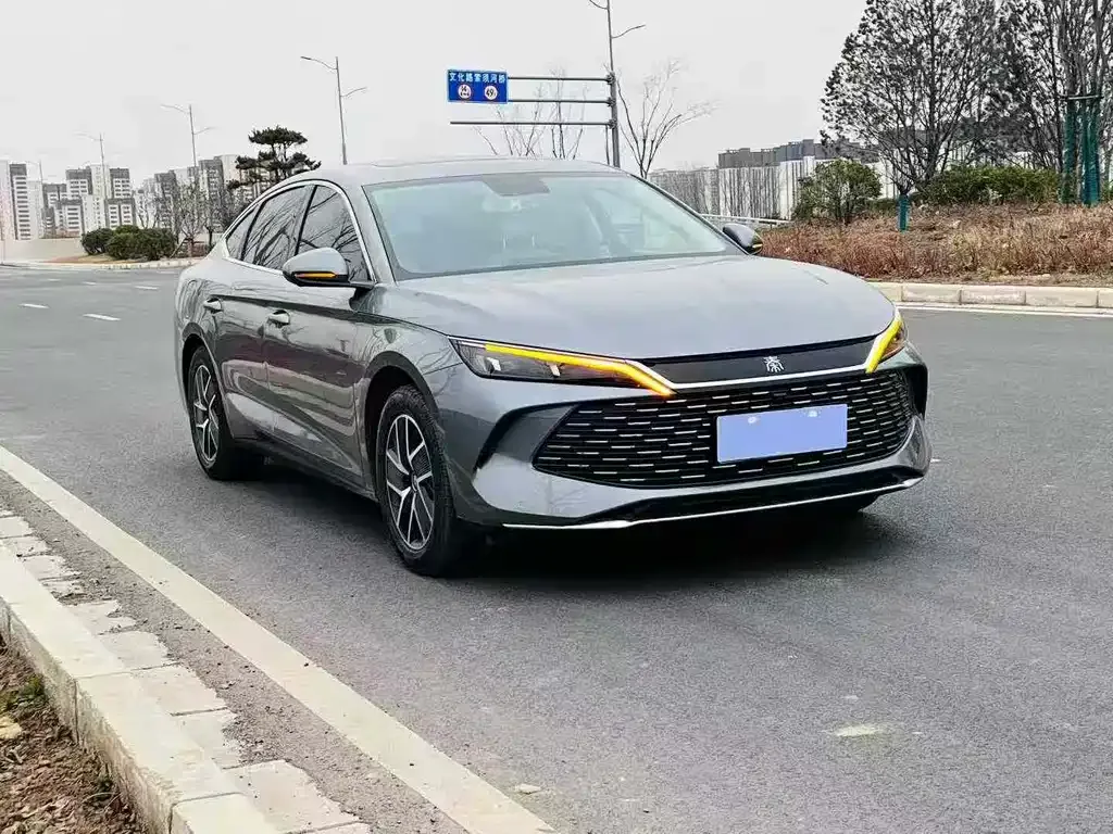 BYD Qin L 2024 из CN, фото 5