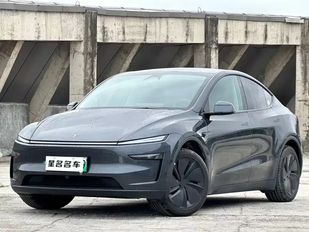 Tesla Model Y 2025 из CN, фото 1