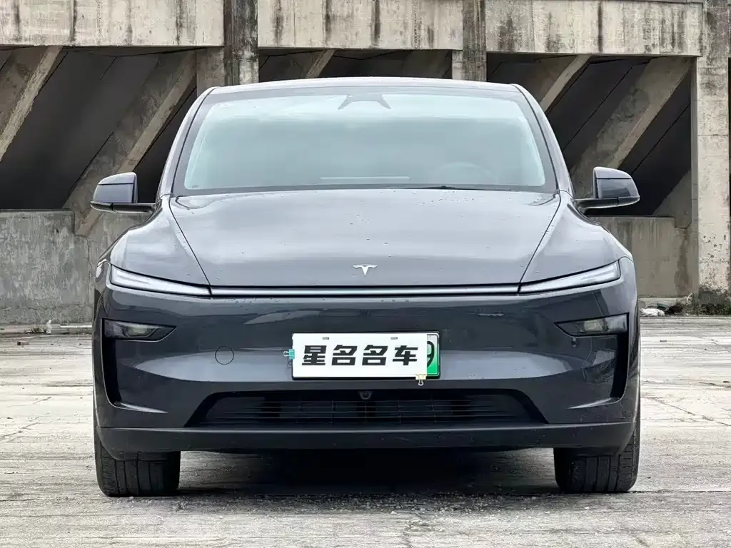 Tesla Model Y 2025 из CN, фото 8