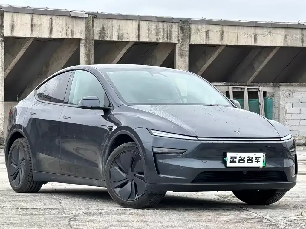 Tesla Model Y 2025 из CN, фото 9