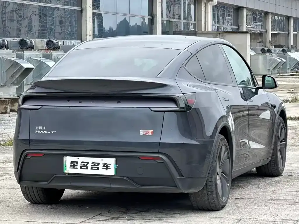 Tesla Model Y 2025 из CN, фото 5
