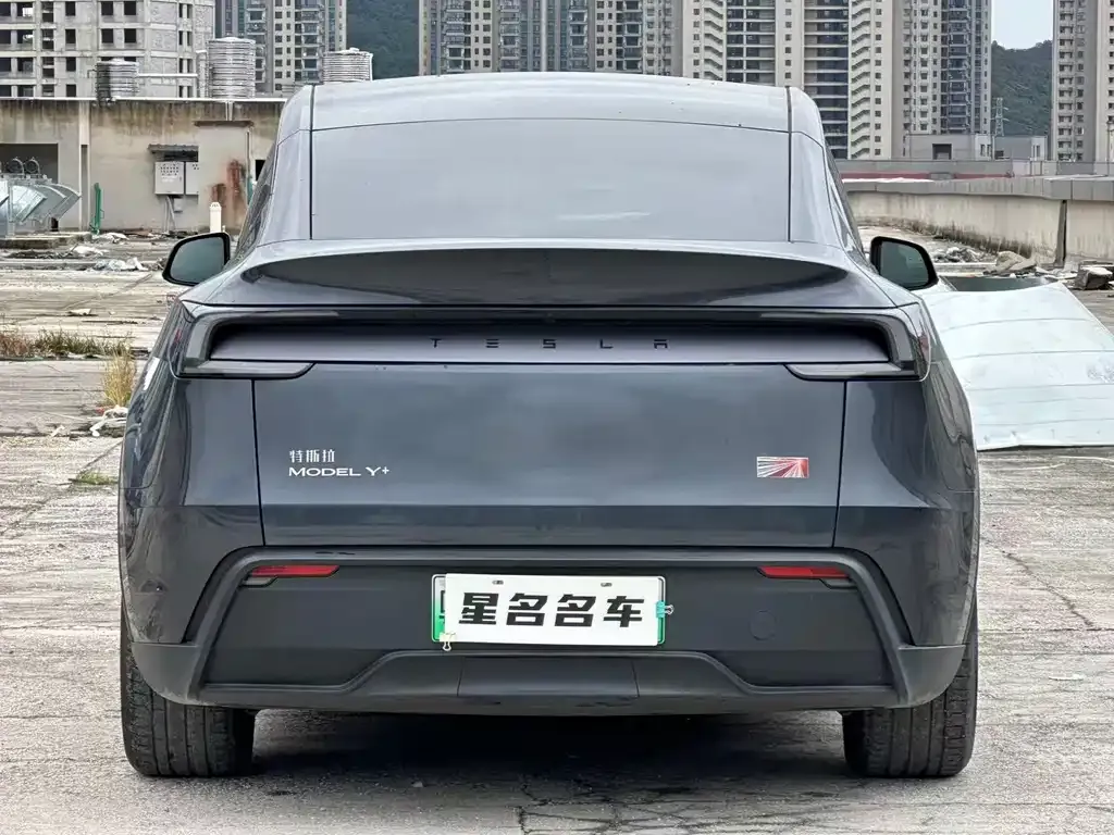 Tesla Model Y 2025 из CN, фото 6