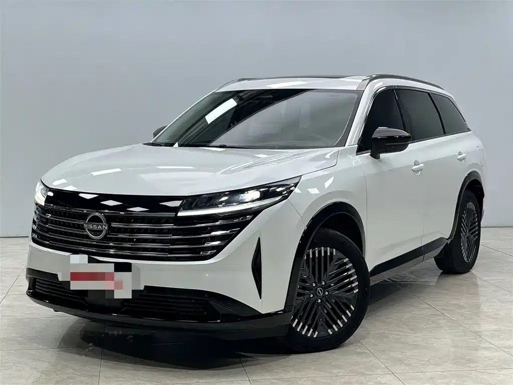Nissan Teramont 2024 из CN, фото 1