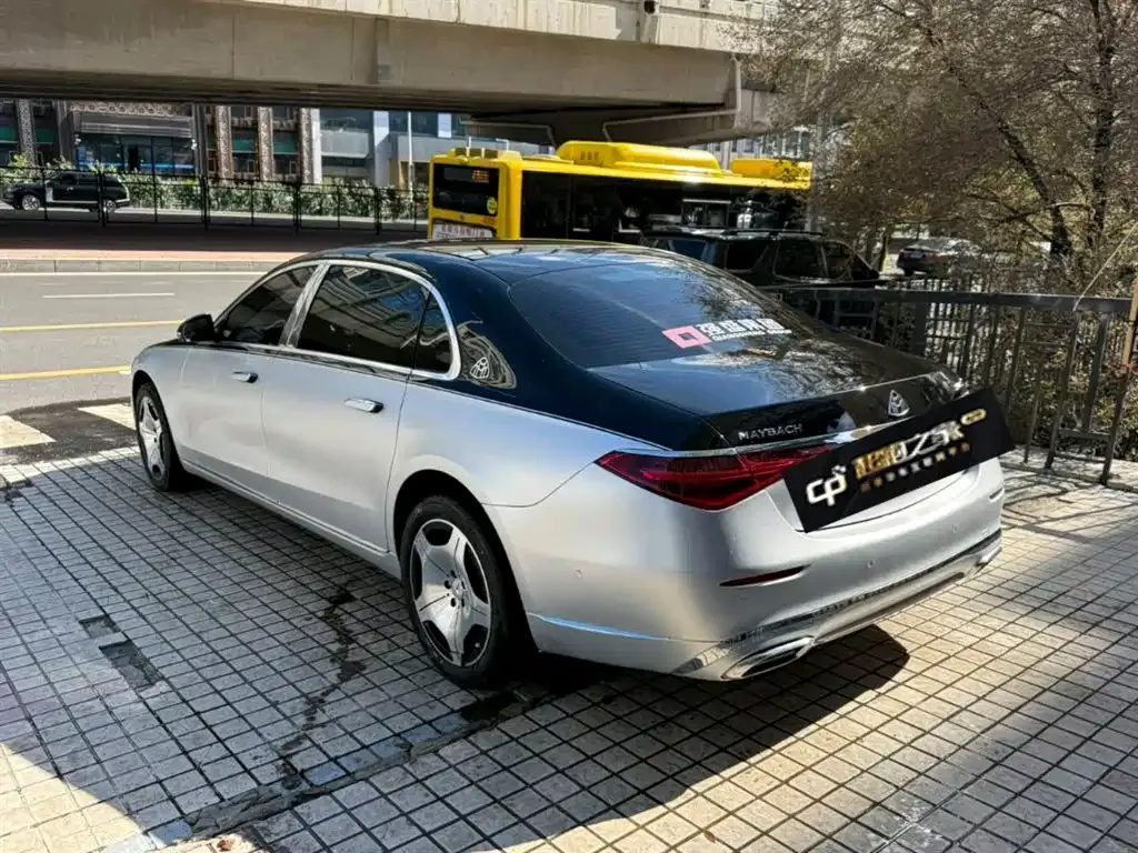 Mercedes-Benz S-Class 2022 из CN, фото 6