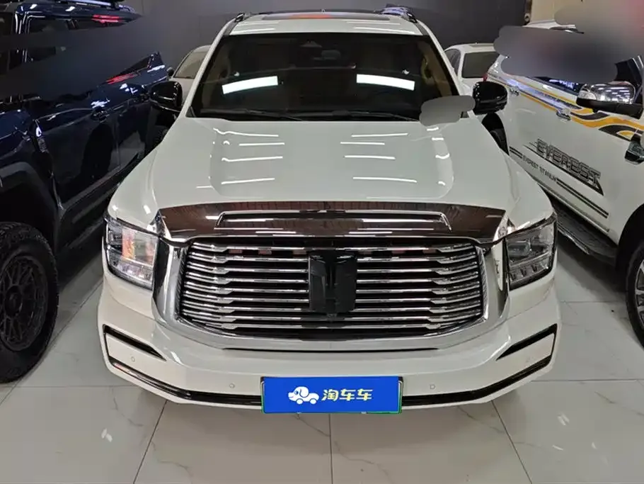 Tank 500 New Energy 2024 из CN, фото 9