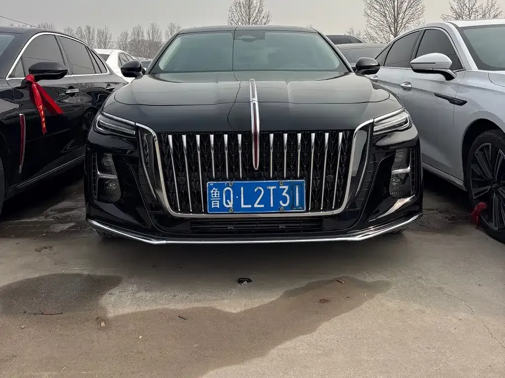 Hongqi H5 2023 из CN, фото 3