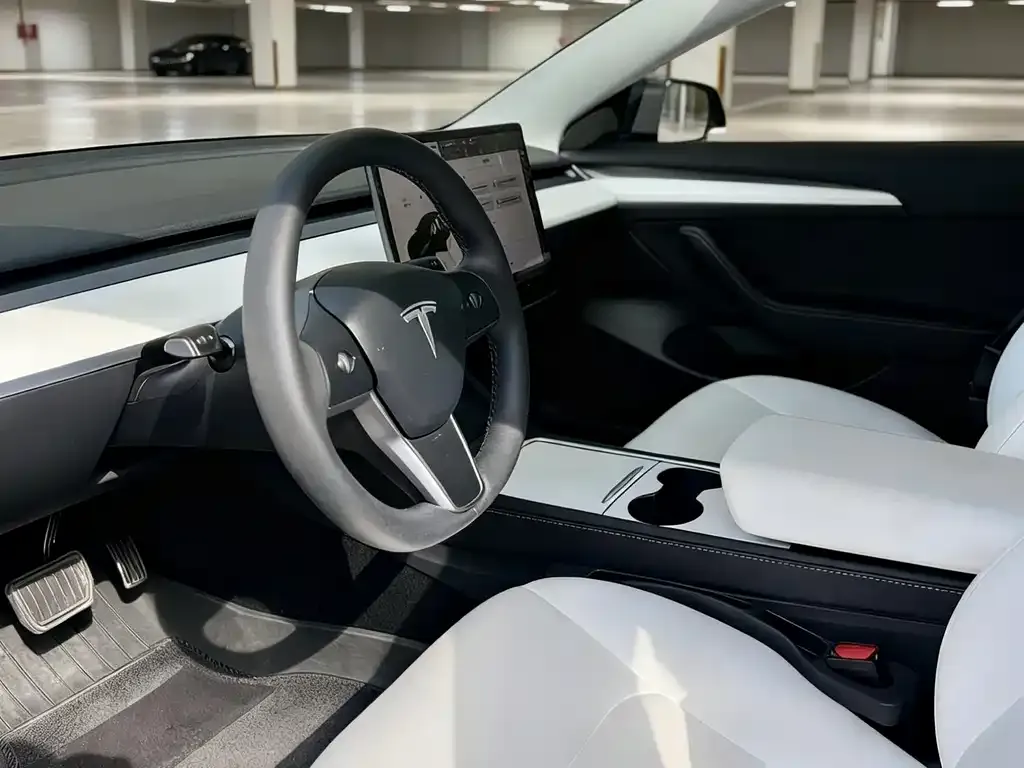 Tesla Model 3 2023 из CN, фото 4